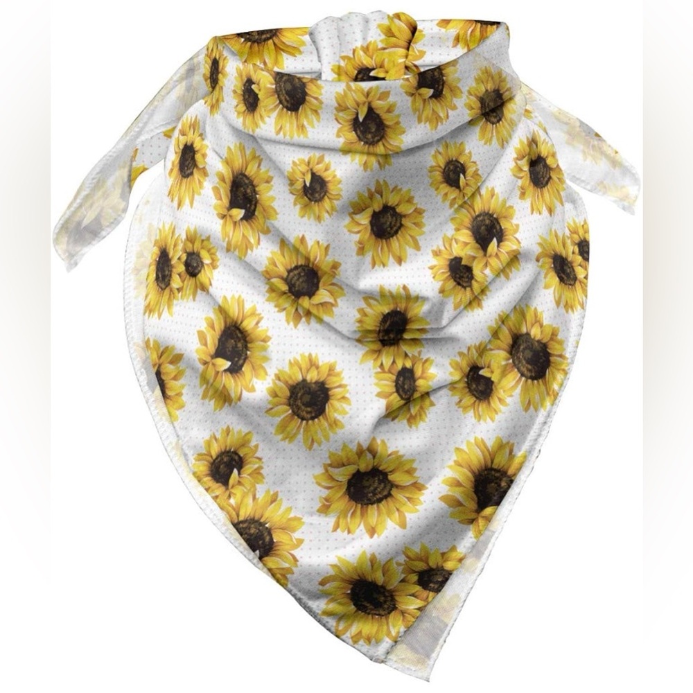 Ambesonne Unisex Bandanas (4)